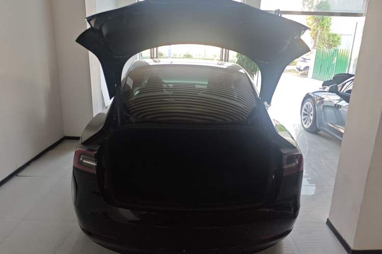 Used Tesla Model 3 2021 Standard Range Rear-Wheel Drive Upgraded Version 3D6
