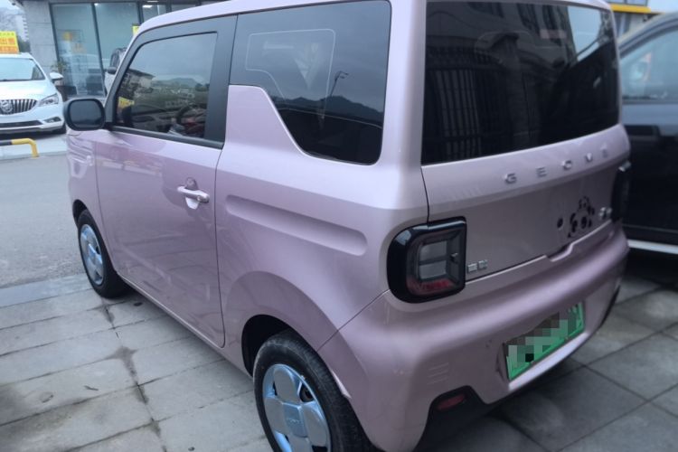 Used  Panda 2023 Panda Mini 200km Endurance Bear