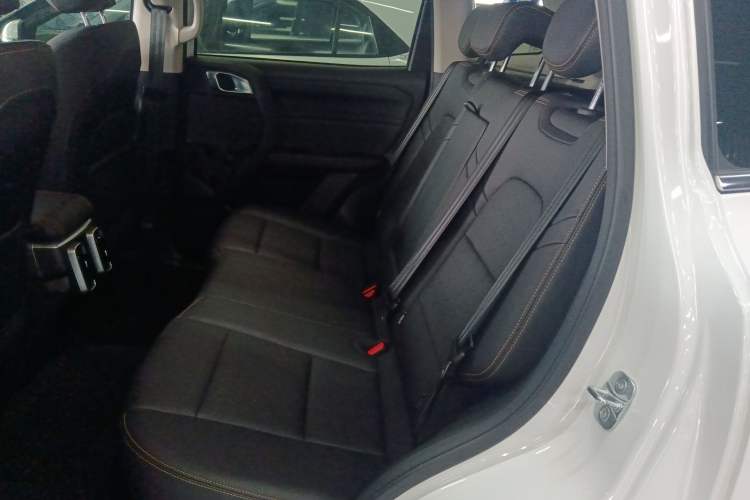 Used Haval DARGO 2024 2.0T DCT Chinese Rural Dog Edition
