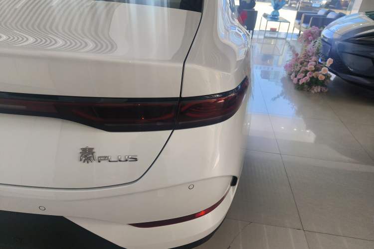 Used BYD Qin PLUS 2025 DM-i Smart Drive 55KM Leading Model
