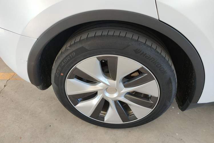 Used Tesla Model Y 2021 Standard Range Rear-Wheel Drive Version
