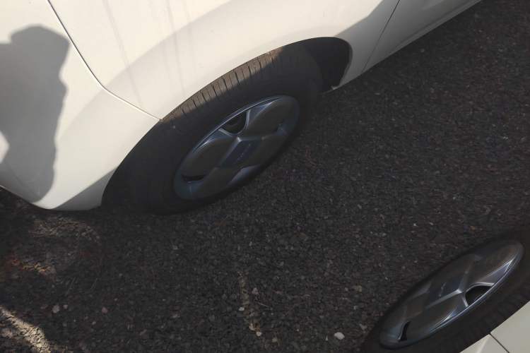 Used  Panda 2024 Panda Mini 200km Endurance Bear