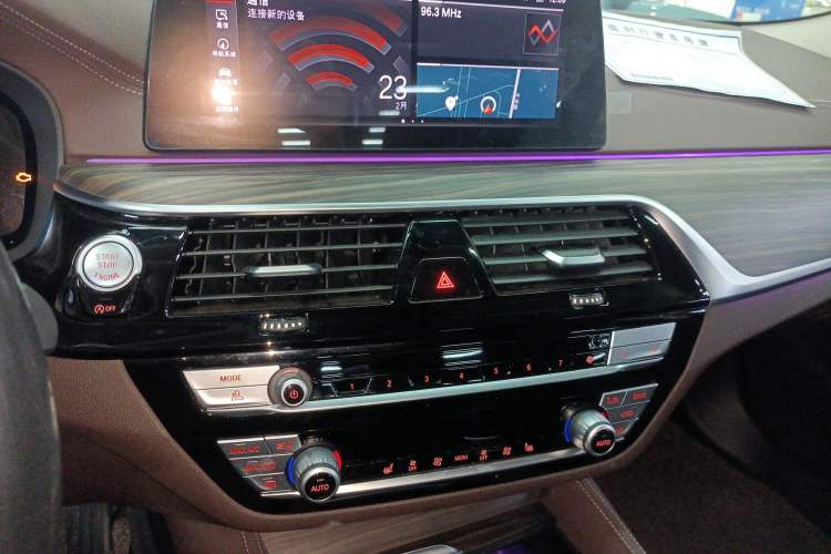 Used BMW 5 Series 2020 530Li Leading Edition Luxury Package