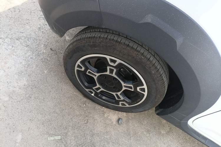 Used  Panda 2024 200km Panda Rider
