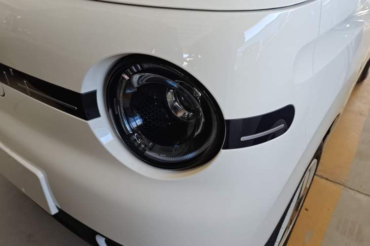 Used  Panda 2025 210 km – Yuanqi Bear
