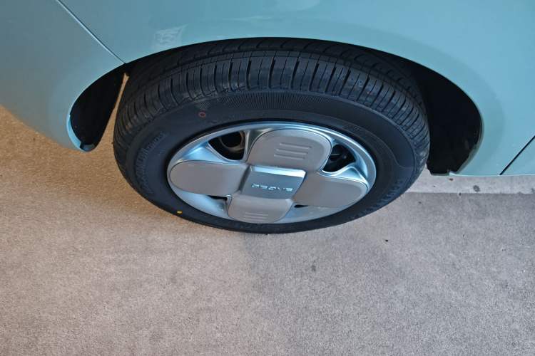 Used  Panda 2024 Panda Mini 200km Endurance Bear