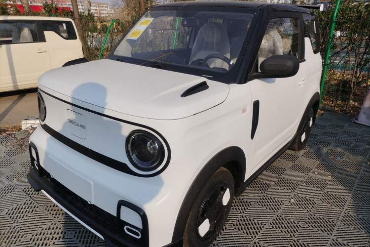 Used  Panda 2025 210km Panda Kart