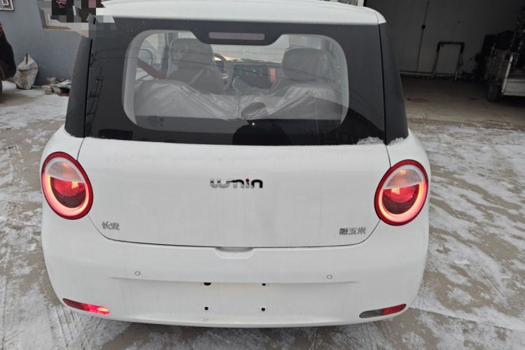 Used  Lumin 2025 301km Honey Dew Edition
