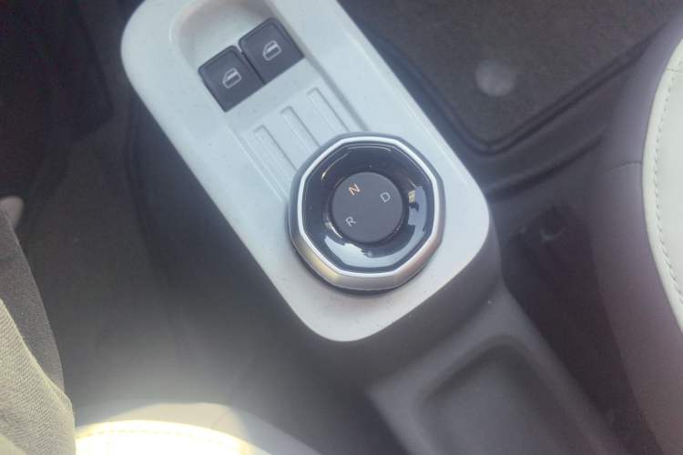 Used  Panda 2024 200km Panda Rider