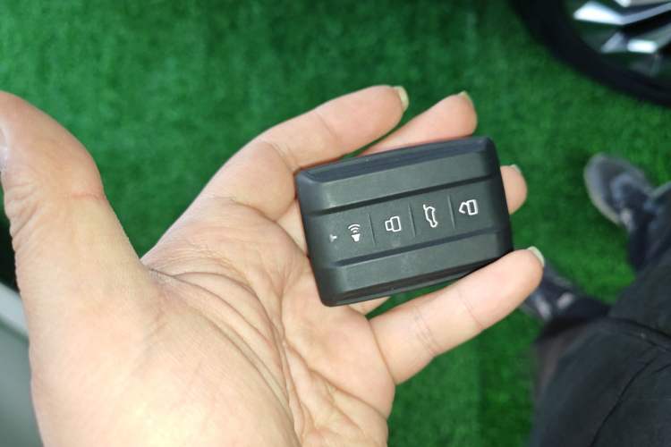 Used Tank 500 New Energy 