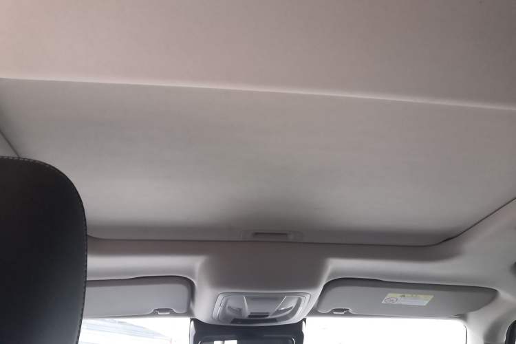 Used Tank 300 2023 City Edition 2.0T Essential Model
