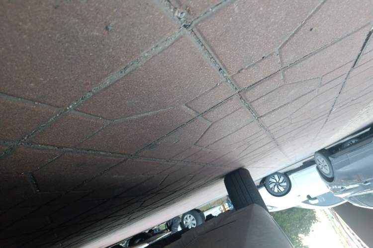 Used  Panda 2025 210km Panda Rider
