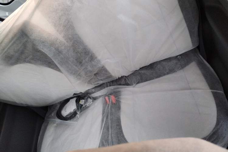 Used  Panda 2025 210 km – Yuanqi Bear
