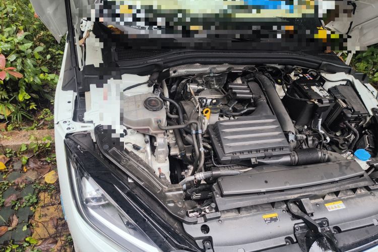 Used Volkswagen Lamando 2024 Lingdu L 200TSI DSG Trendy & Spicy Edition
