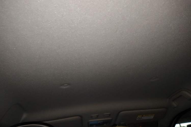 Used ORA Black Cat 2021 301 km Basic Version