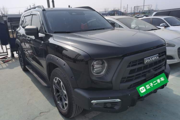 Used Haval DARGO 2024 2.0T DCT Chinese Rural Dog Edition
