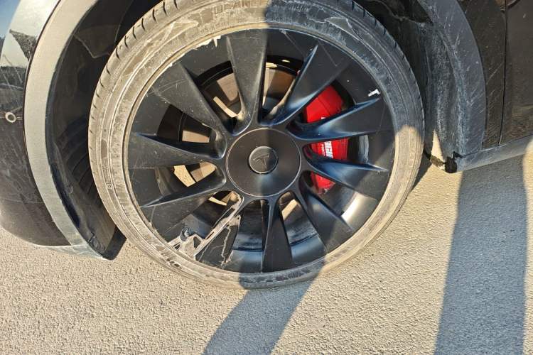 Used Tesla Model Y 2021 Standard Range Rear-Wheel Drive Version
