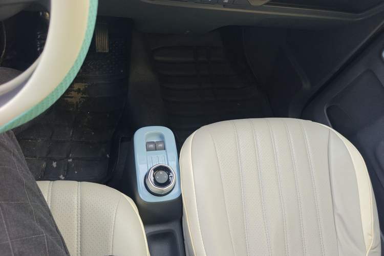 Used  Panda 2024 Panda Mini 200km Endurance Bear
