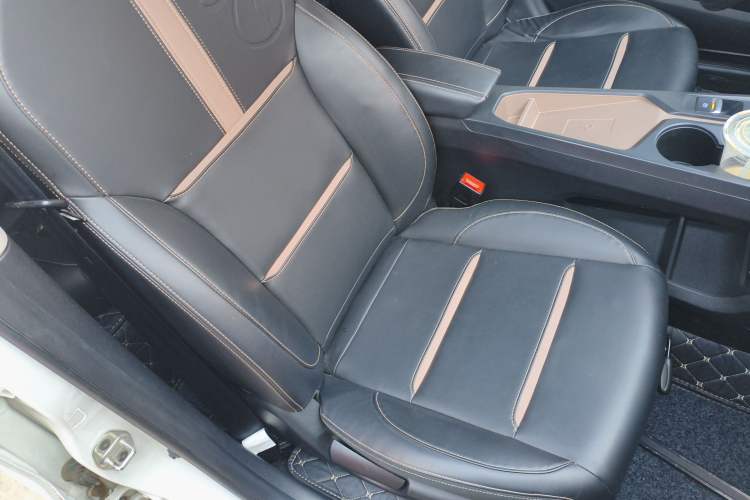 Used SOL E10X 2022 Flower Fairy Design Four-Leaf Clover