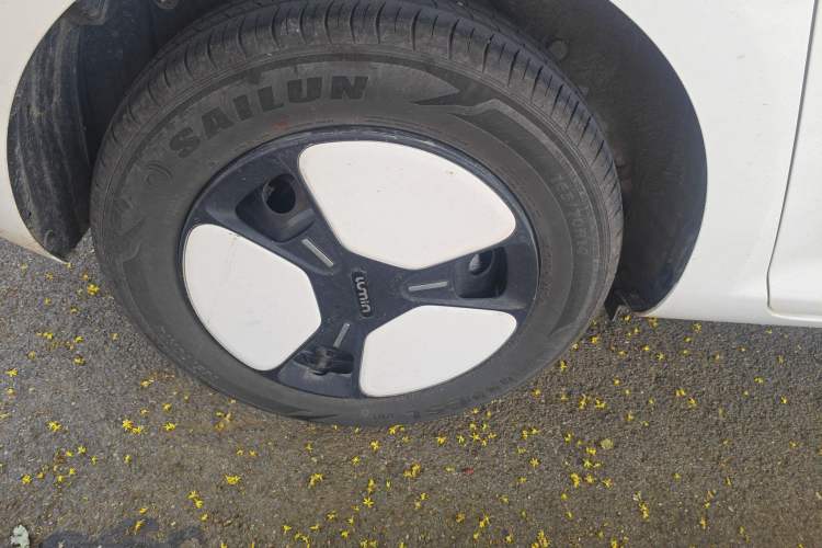 Used  Lumin 2025 205 km Xiangqin Version
