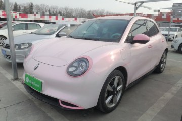 Used ORA Good Cat 2023 401 km Standard Range Luxury Version Lithium Iron Phosphate