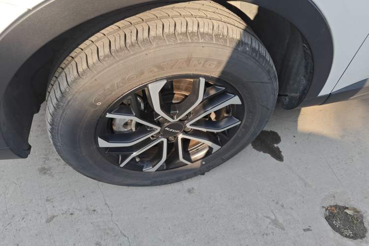 Used Haval H6 2023 National Trend Edition 1.5T Automatic Urban Version
