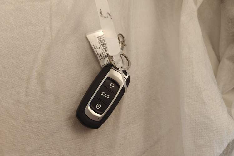 Used  Panda 2025 210 km – Yuanqi Bear