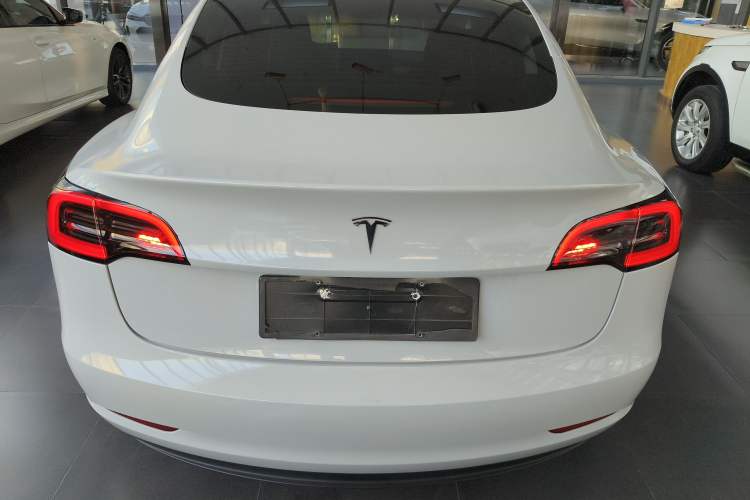 Used Tesla Model 3 2021 Standard Range Rear-Wheel Drive Upgraded Version 3D6