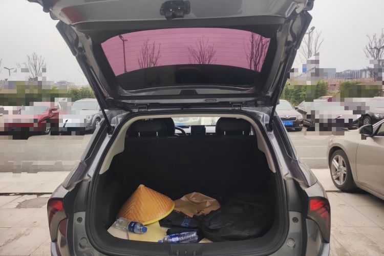 Used NETA V 2021 Long-Range Entertainment Edition Upgrade Model