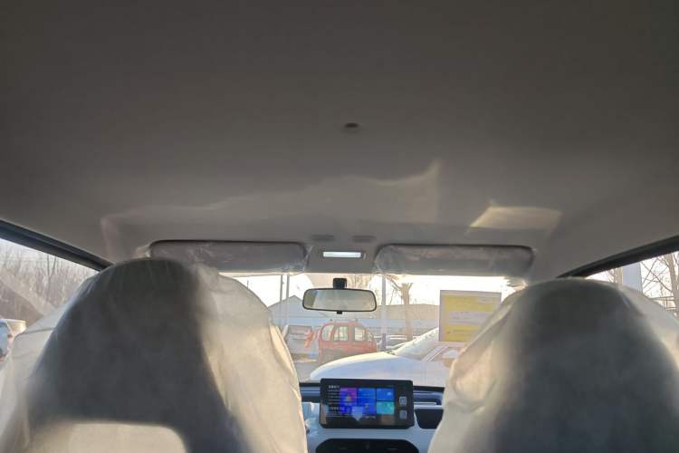 Used  Panda 2024 Panda Mini 200km Endurance Bear