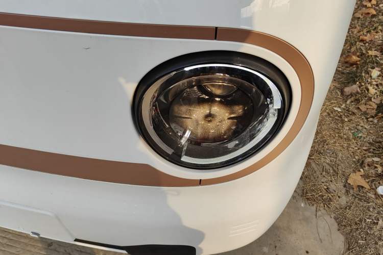 Used  Panda 2024 Panda Mini 200km Endurance Bear
