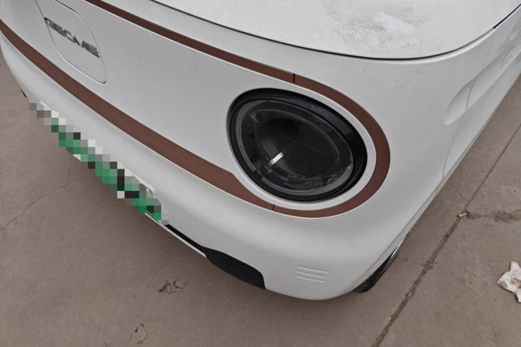 Used  Panda 2024 Panda Mini 200km Endurance Bear