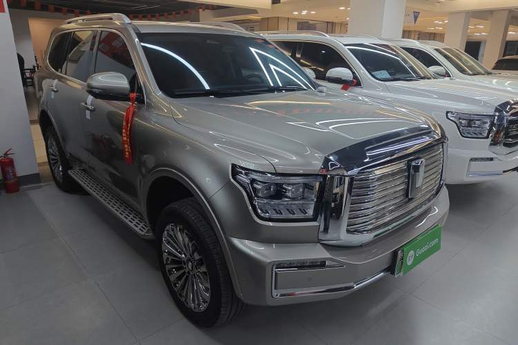 Used Tank 500 New Energy 2025 Hi4-Z
