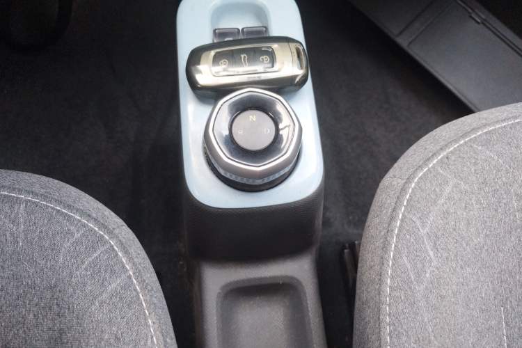 Used  Panda 2024 Panda Mini 200km Endurance Bear
