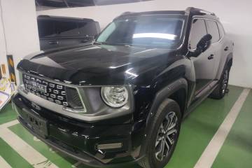 Used Haval H Dog 2023 2.0T Two-Wheel Drive Chaoye Version Plus