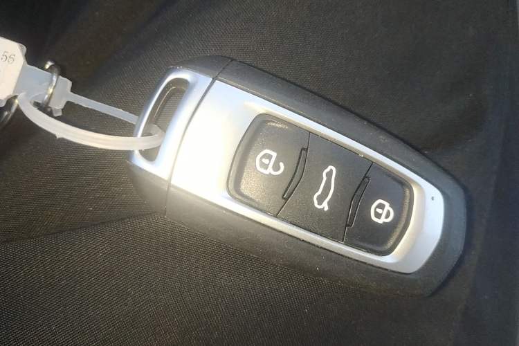 Used  Panda 2025 210 km – Yuanqi Bear