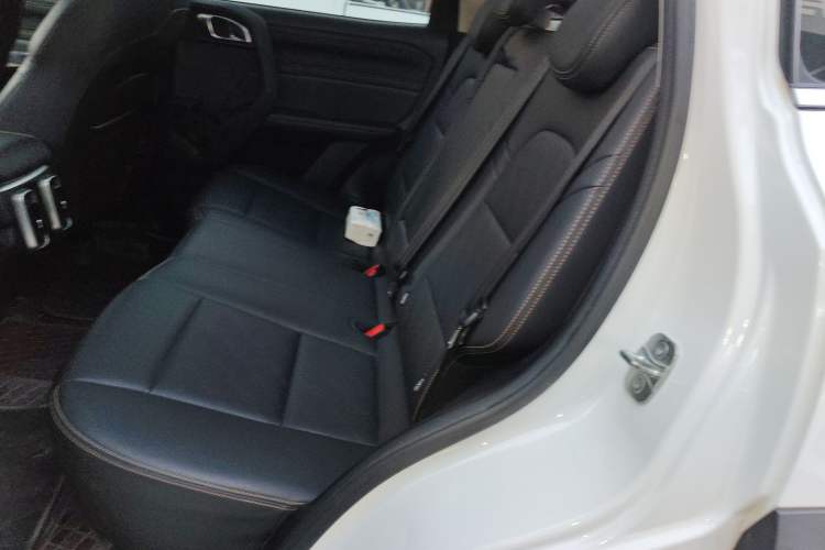 Used Haval DARGO 2024 2.0T DCT Chinese Rural Dog Edition
