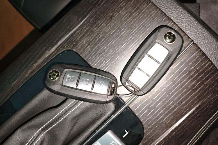 Used Venucia D60 2021 PLUS 1.6L XL CVT Yue Ling Edition
