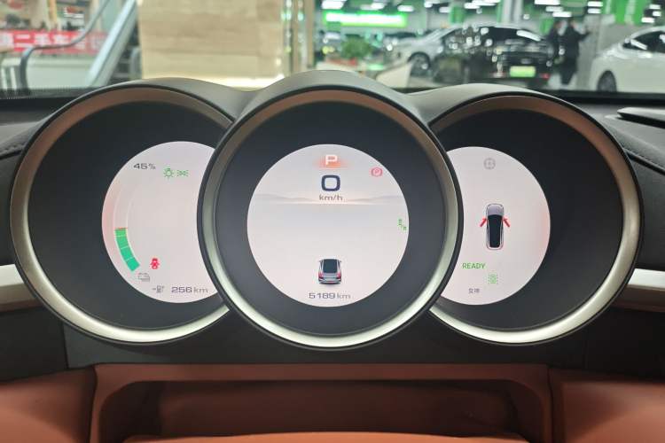 Used ORA Lightning Cat 2022 555 km Luxury Edition
