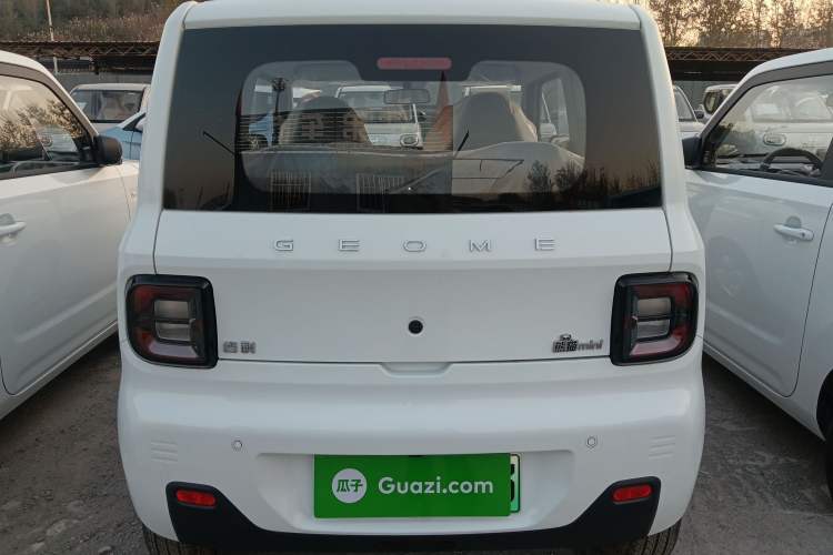 Used  Panda 2024 Panda Mini 200km Endurance Bear
