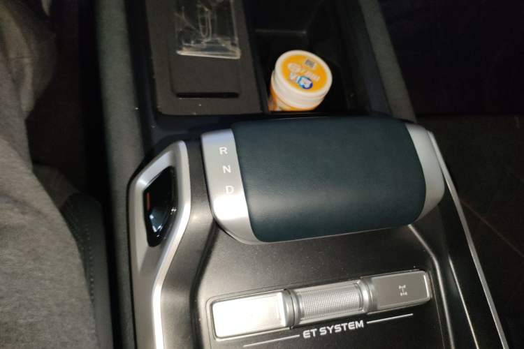 Used  G318 2025 Worry-Free Adventure Edition Four-Wheel Drive Secret Realm Version