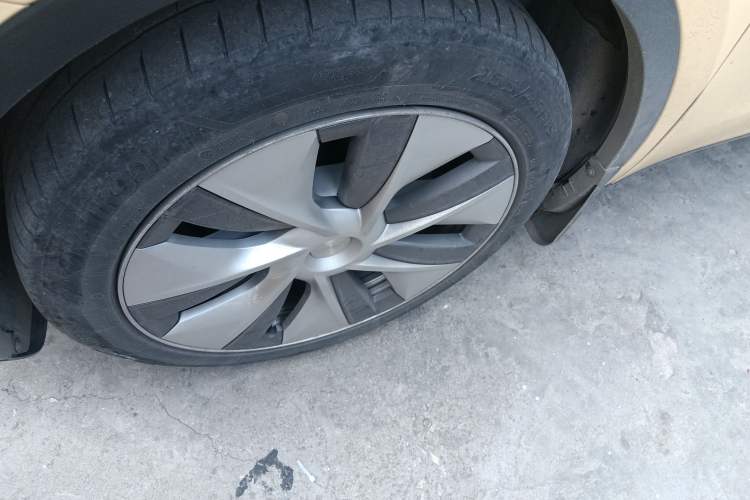 Used Tesla Model Y 2022 Long-Range All-Wheel-Drive Version
