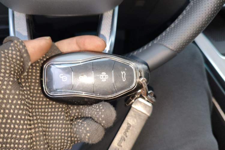 Used Hongqi HS5 2025 2.0T Two-Wheel Drive Flagship Pro Edition
