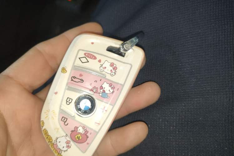 Used BMW 5 Series 2018 530Li xDrive M Sport Package
