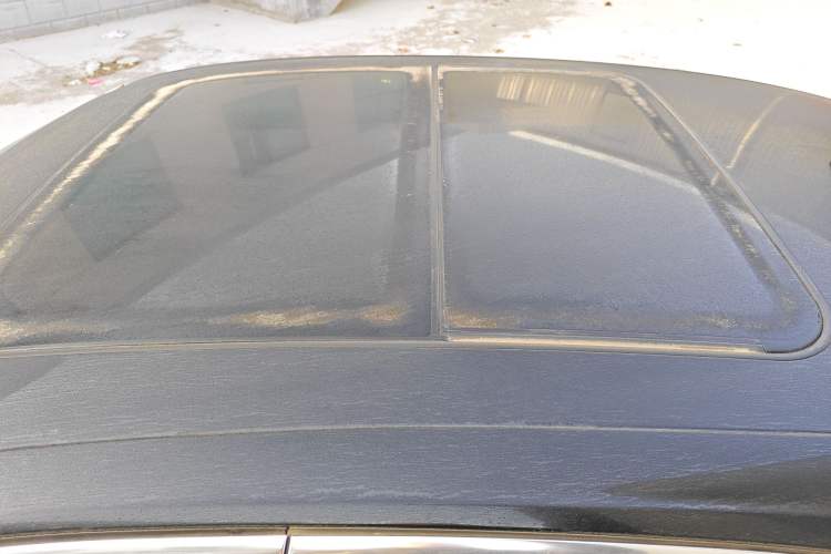 Used Hongqi H9 2023 2.0T Smart Connect Flagship Edition
