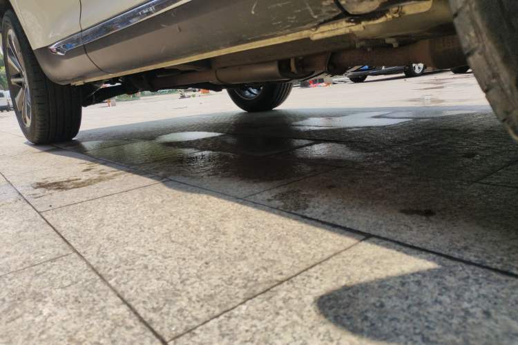 Used Haval F5 2019 National Trend Edition 1.5T i-Trend China VI Standard
