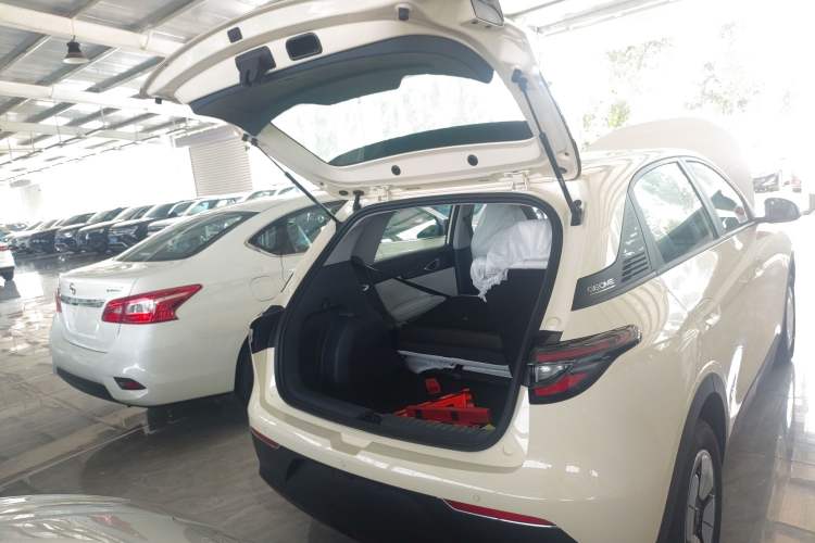 Used  Geome 2025 310km Youth Edition
