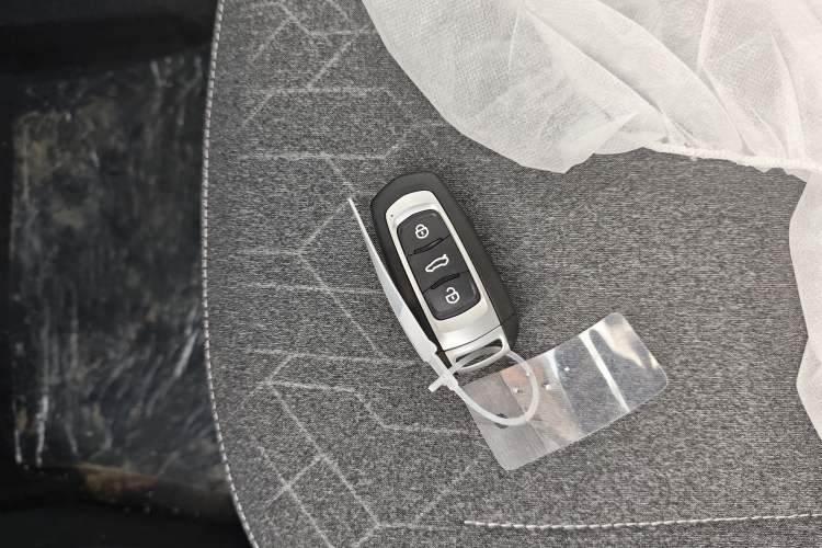 Used  Panda 2024 Panda Mini 200km Endurance Bear
