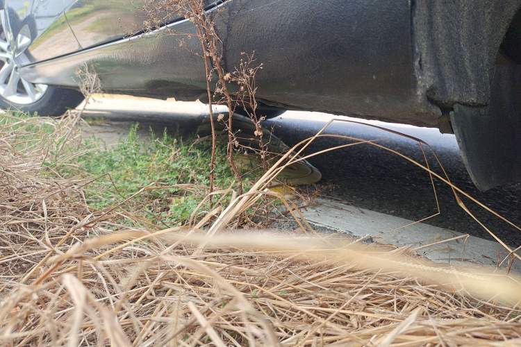 Used Chevrolet Malibu XL 2017 1.5T Automatic Ruichi Edition