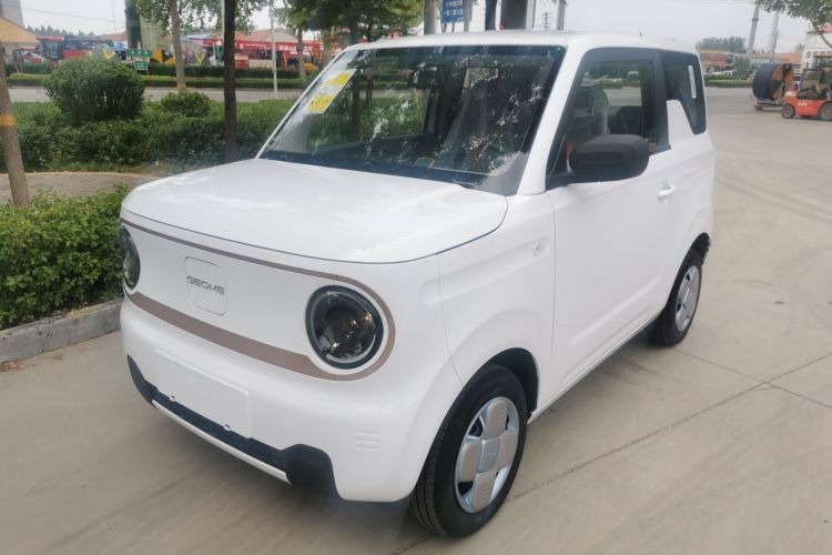 Used  Panda 2024 Panda Mini 200km Endurance Bear

